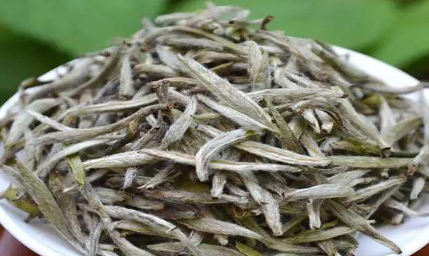 白茶制作工艺和种类介绍