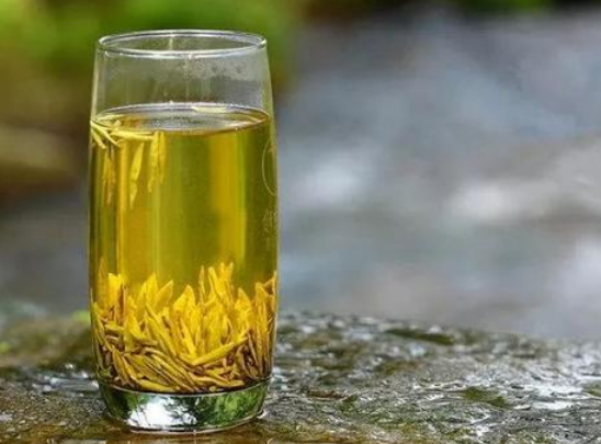 黄茶制作工艺、种类、功效及其价值